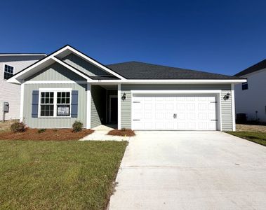 New construction Single-Family house Hinesville, GA 31313 plan The Trask - image