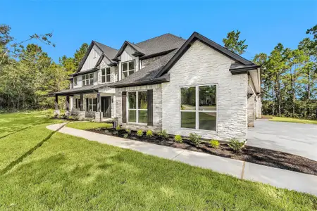 New construction Single-Family house 8604 Trinity Pines Ct, Montgomery, TX 77316 - image