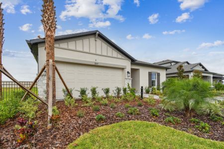 New construction Single-Family house 11843 Hilltop Farms Dr, Dade City, FL 33525 Sentinel- photo 78 78