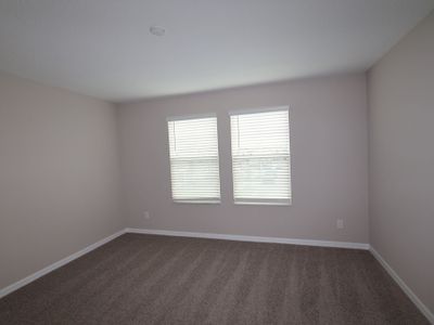 New construction Single-Family house 3189 Fall Harvest Dr, Zephyrhills, FL 33540 plan Castellana - image 11