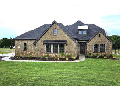 New construction Single-Family house 376 Willie'S Ct, Whitesboro, TX 76273 - image