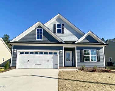 New construction Single-Family house 122 Grinnell Lp, Sanford, NC 27332 - image