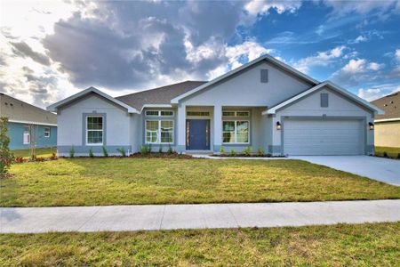 New construction Single-Family house 4077 Tullamore Lane, Auburndale, FL 33823 - photo 0