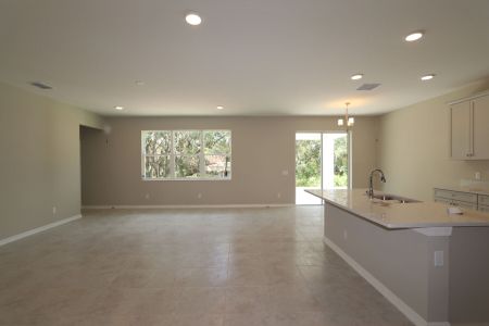 New construction Single-Family house 9603 Crescent Ray Dr, Wesley Chapel, FL 33545 Barcello Bonus- photo 66 66