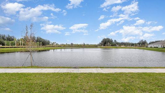 New construction Townhouse house 9041 Orchid Reserve Cir, Sebastian, FL 32958 Sabal- photo 27 27