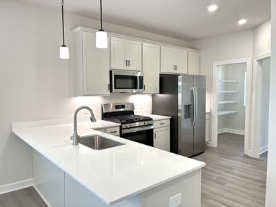 New construction Single-Family house 121 Rock Cress Trl, Greenville, SC 29607 plan The Princeton A - image 5