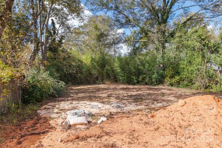 New construction Single-Family house 318 S Spruce St, Rock Hill, SC 29730 null- photo 21 21