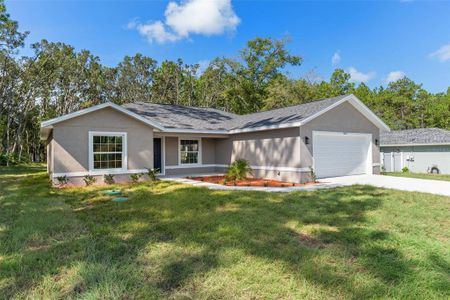 New construction Single-Family house 3155 W Randolph Ln, Citrus Springs, FL 34433 - image
