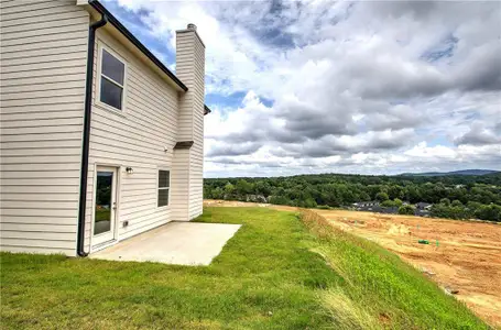 New construction Single-Family house 266 Eva Wy Ne, Cartersville, GA 30121 - image