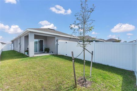 New construction Single-Family house 924 Chasetree Ln, St. Cloud, FL 34771 ASTOR- photo 15 15