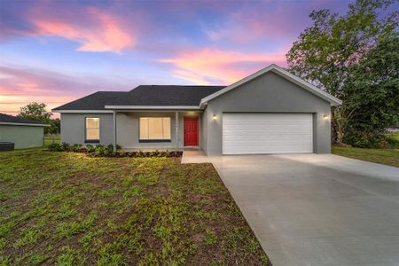 New construction Single-Family house 13784 Sw 89Th Cir, Ocala, FL 34473 Gracie XL- photo 3 3