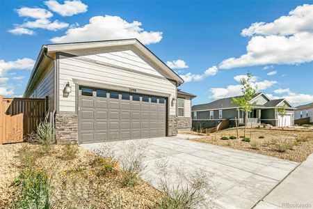 New construction Single-Family house 2098 Peachleaf Lp, Castle Rock, CO 80108 null- photo 31 31