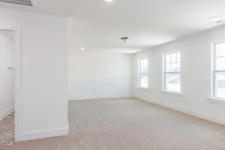 New construction Single-Family house 27 Cypress Moss Ct, Lillington, NC 27546 plan Summit - image 20