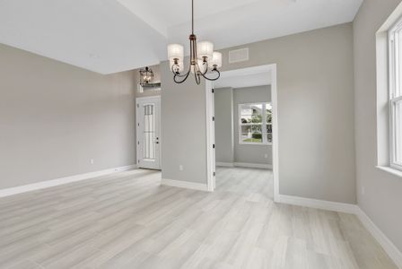 New construction Single-Family house 51 E Diamond Dr, Palm Coast, FL 32164 plan Birkdale - image 10