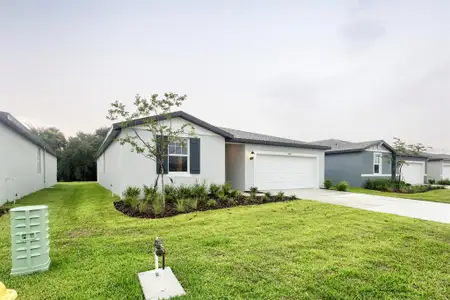 New construction Single-Family house 7637 Satterfield Ter, Parrish, FL 34219 plan Hibiscus - image