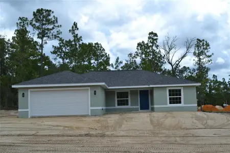 New construction Single-Family house 6658 N Bedstrow Blvd, Dunnellon, FL 34434 - image
