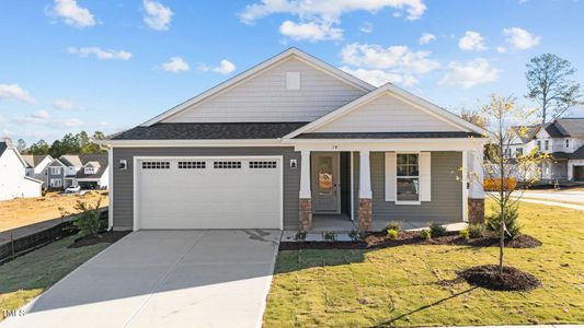 New construction Single-Family house 14 Baird Cv Ln, Angier, NC 27501 null- photo 0