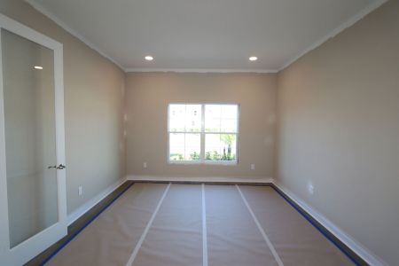 New construction Single-Family house 20339 Oriana Loop, Land O' Lakes, FL 34638 Newport II- photo 100 100