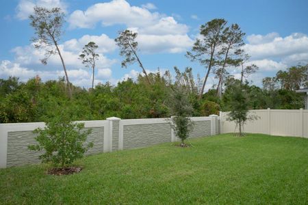 New construction Single-Family house 2612 Leafwing Ct, Palm Harbor, FL 34683 null- photo 75 75