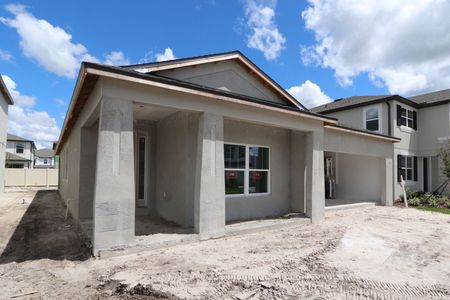 New construction Single-Family house 33227 Amling Pecan Br, Wesley Chapel, FL 33545 Newport II- photo 1 1