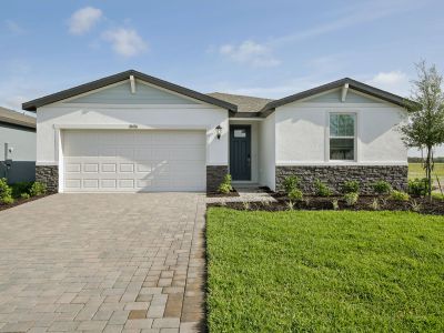 New construction Single-Family house 10436 Abundance Grove Wy, Parrish, FL 34219 plan Essex - image