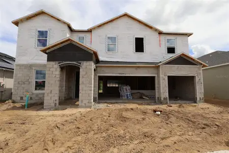 New construction Single-Family house 413 Lady Palm St, Apopka, FL 32703 plan Lakeview Fl - Eco Grand Series - image