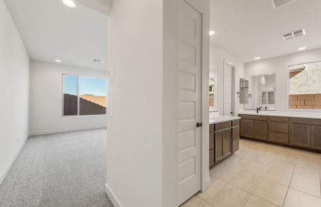 New construction Single-Family house 1442 W Saddle Run, Apache Junction, AZ 85120 Avelino- photo 22 22