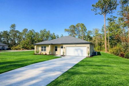 New construction Single-Family house 5059 Sw 166Th Lp, Ocala, FL 34473 - image
