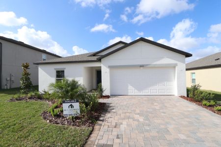 New construction Single-Family house 12193 Hilltop Farms Dr, Dade City, FL 33525 Sentinel- photo 95 95