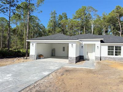 New construction Single-Family house 42021 Tamarac St, Eustis, FL 32736 - image