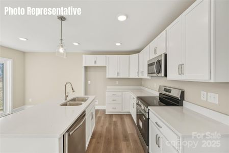 New construction Single-Family house 87 Coon Creek Rd, Pageland, SC 29728 - image 8