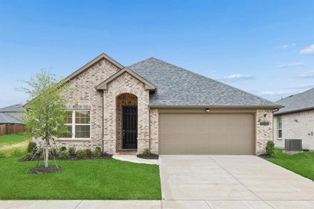 New construction Single-Family house 3002 Italia Ter, Princeton, TX 75407 - image