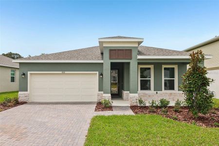New construction Single-Family house 786 Emerald Grove Dr, Apopka, FL 32703 plan Lark - image