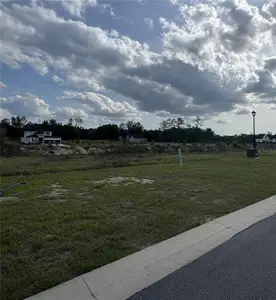 New construction Single-Family house 14759 Sw 9Th Ln, Newberry, FL 32669 - image 3