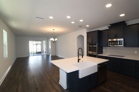 New construction Single-Family house 33227 Amling Pecan Br, Wesley Chapel, FL 33545 Newport II- photo 127 127