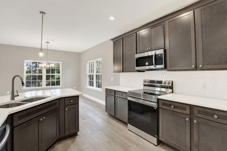 New construction Single-Family house Richmond Hill, GA 31324 plan Hudson - image 8