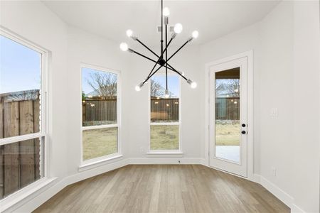 New construction Single-Family house 2608 Shadybrook Dr, Celina, TX 75009 Riverchase FSW- photo 11 11