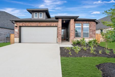 New construction Single-Family house 13224 Hanging Willow, San Antonio, TX 78245 plan The Amaryllis - image