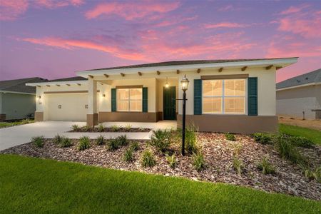 New construction Single-Family house 10073 Sw 106Th Cir, Ocala, FL 34481 plan Ariana - image