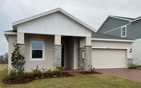 New construction Single-Family house 6833 Serpent Hawk Ln, Leesburg, FL 34748 Bennet- photo 38 38