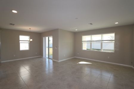 New construction Single-Family house 38338 Tobiano Loop, Dade City, FL 33525 Mira Lago- photo 147 147