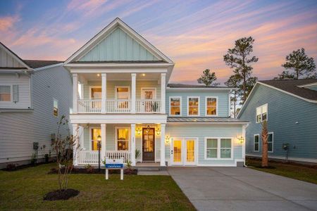 New construction Single-Family house 6 Kings River Trl, Hollywood, SC 29449 - image