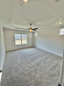 New construction Single-Family house 513 Windflower Pass, Antioch, TN 37013 - image 11
