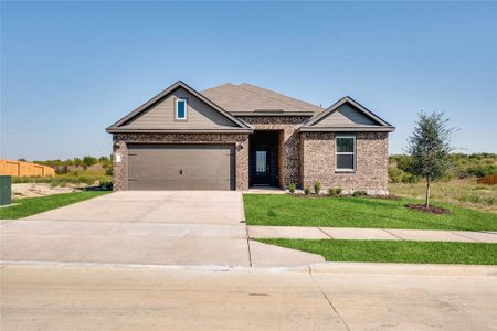 New construction Single-Family house 905 Cawthorne Trl, Fort Worth, TX 76108 - image