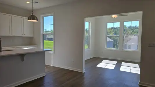 New construction Single-Family house 9 Halsey St, Central, SC 29630 plan Harper II - image 11