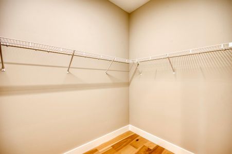 New construction Single-Family house 10014 Skyloft St, Palm Beach Gardens, FL 33412 plan Olympus - image 10