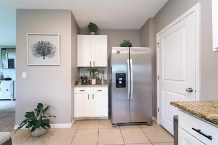 New construction Single-Family house 10826 Trailing Vine Dr, Tampa, FL 33610 null- photo 13 13