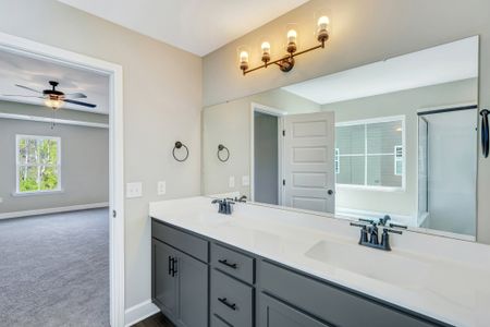 New construction Single-Family house 51 Hanover Pl, Richmond Hill, GA 31324 plan Hilton - image 17