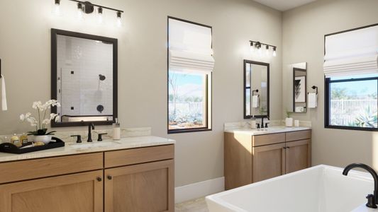 New construction Single-Family house Gold Canyon, AZ 85118 plan 1026 - image 14