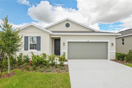 New construction Single-Family house 819 Ballantyne Drive, Lake Wales, FL 33898 - photo 0